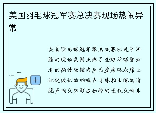 美国羽毛球冠军赛总决赛现场热闹异常